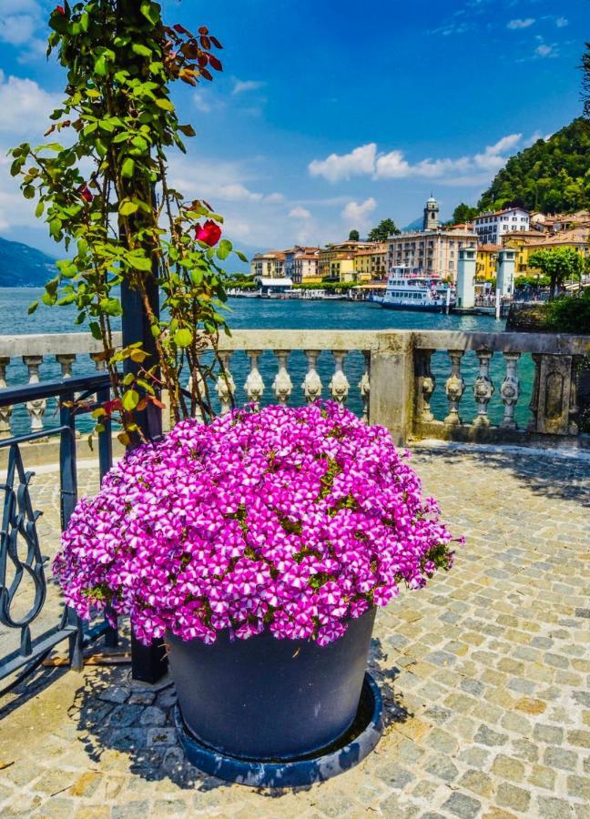 Appartamento Giardino Bellagio Ngoại thất bức ảnh